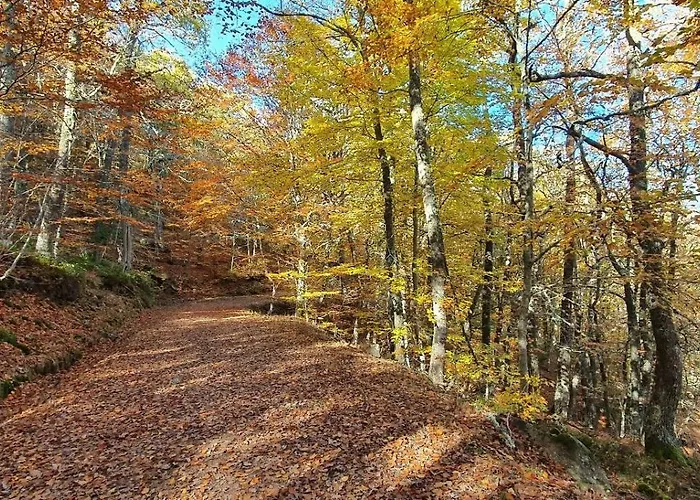 Ferienhaus Casa Dulcinea En Montana Palentina Branosera