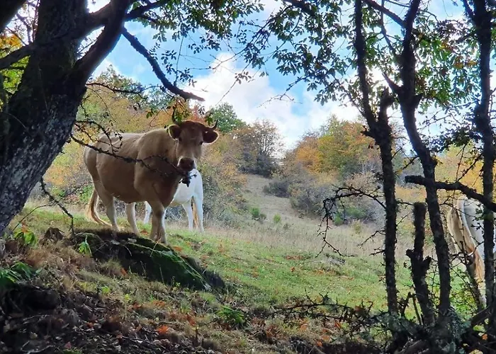 Ferienhaus Casa Dulcinea En *