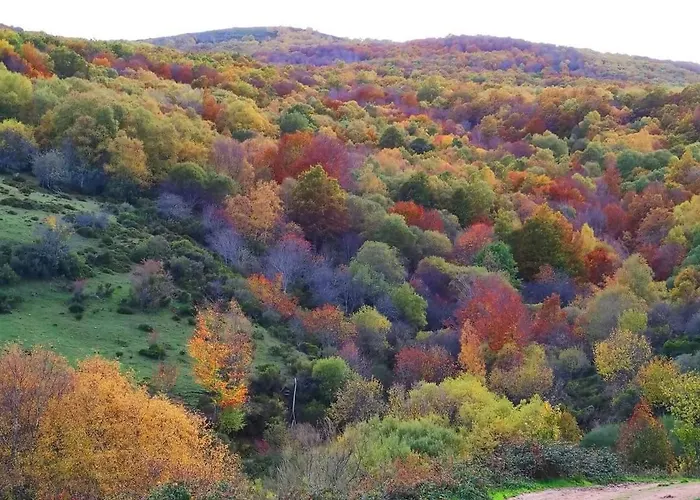 Ferienhaus Casa Dulcinea En *